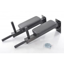 Sieninis pilvo/nugaros treniruoklis DY-DR-1064