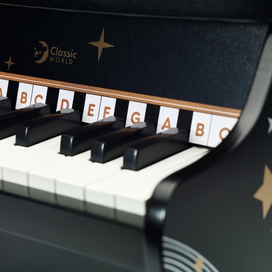 Medinis pianinas CLASSIC WORLD juodas