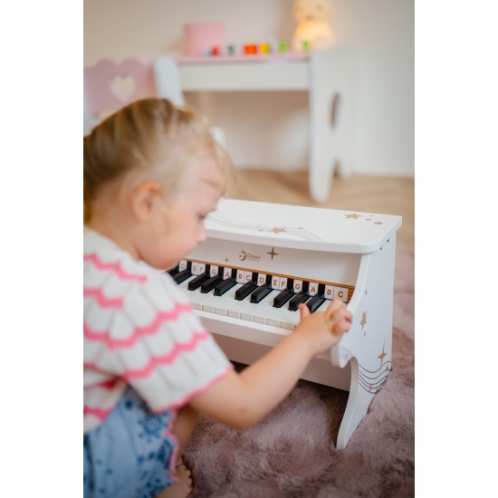 Medinis pianinas CLASSIC WORLD juodas