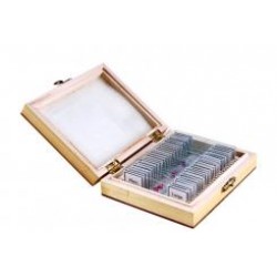 Zoologija 1 dalis - 25 preparatai