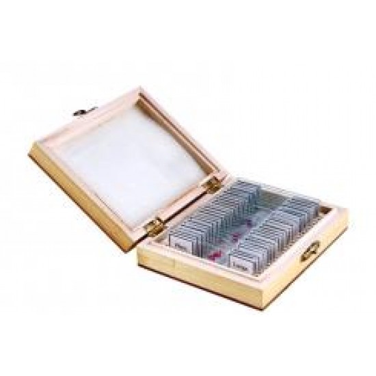 Zoologija 1 dalis - 25 preparatai