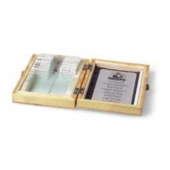 Žuvys, varlės ir kitos amfibijos